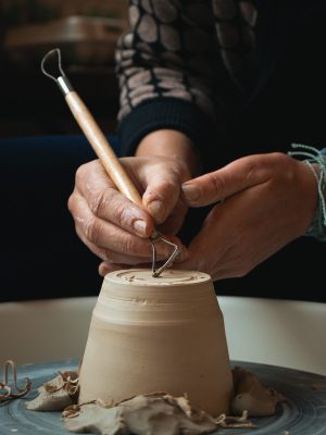 Excepteur sint occaecat elit cupidatat non proident