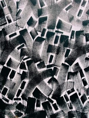 Excepteur sint occaecat elit cupidatat non proident